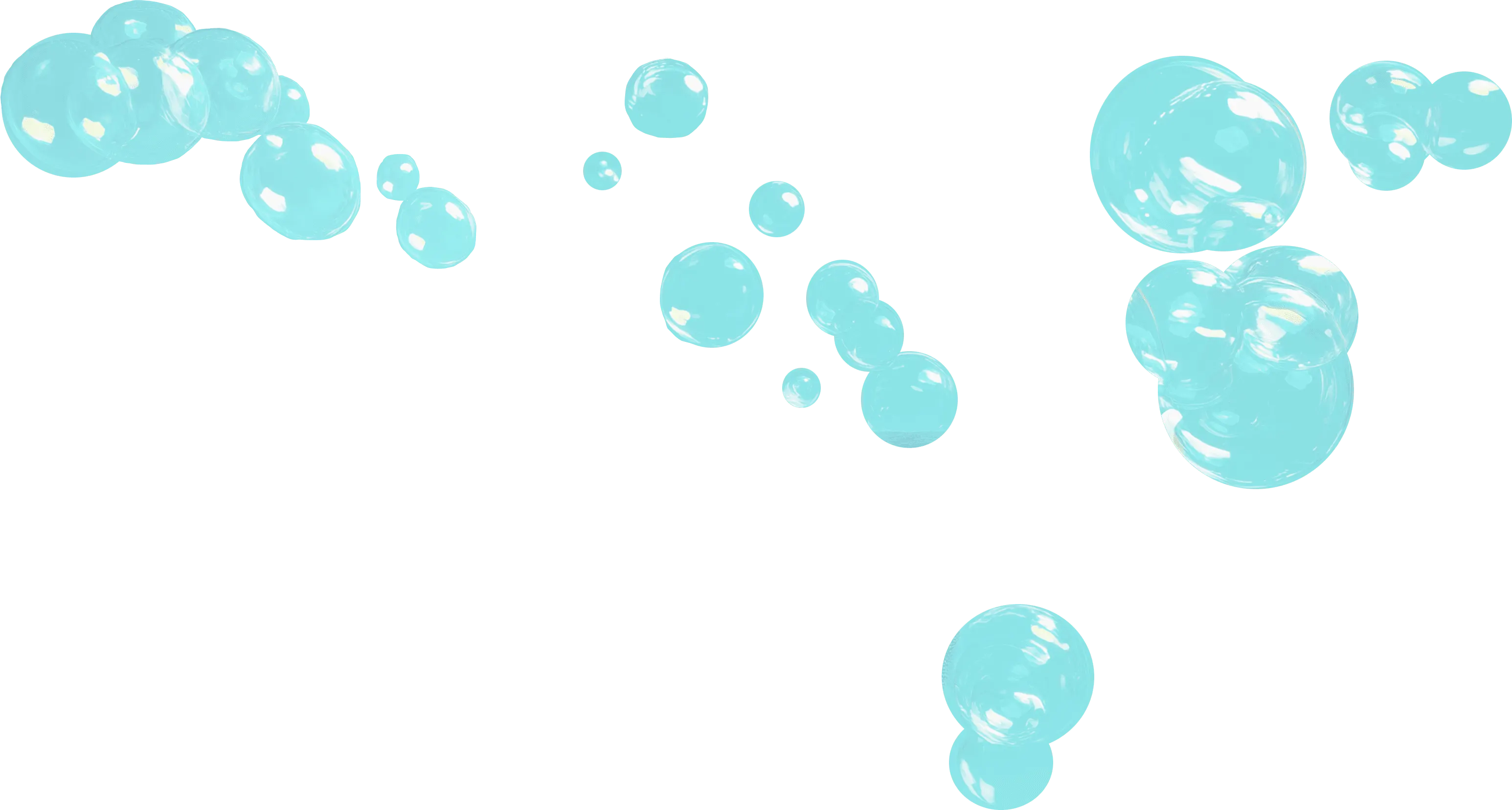 ZenMaid software screenshot